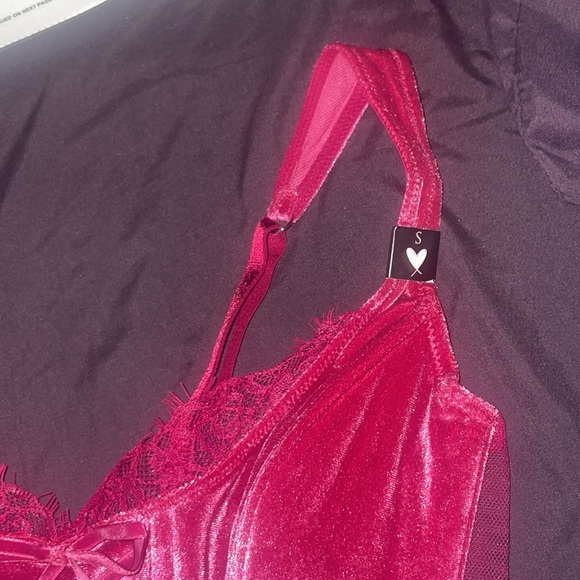 PINK x LoveShackFancy Unlined Lace-Up Corset Top - Picture 11 of 16